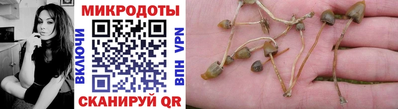 Купить закладки  Краснознаменск  Псилоцибиновые грибы Psilocybine cubensis 