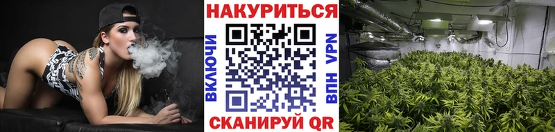 Марихуана SATIVA & INDICA  Купить  Краснознаменск 